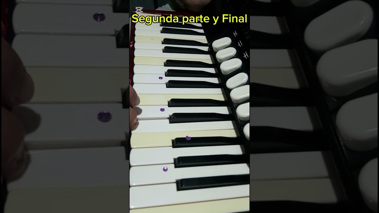 La Chicharra cantora (chacarera Instrumental) Acordeón a Piano!
