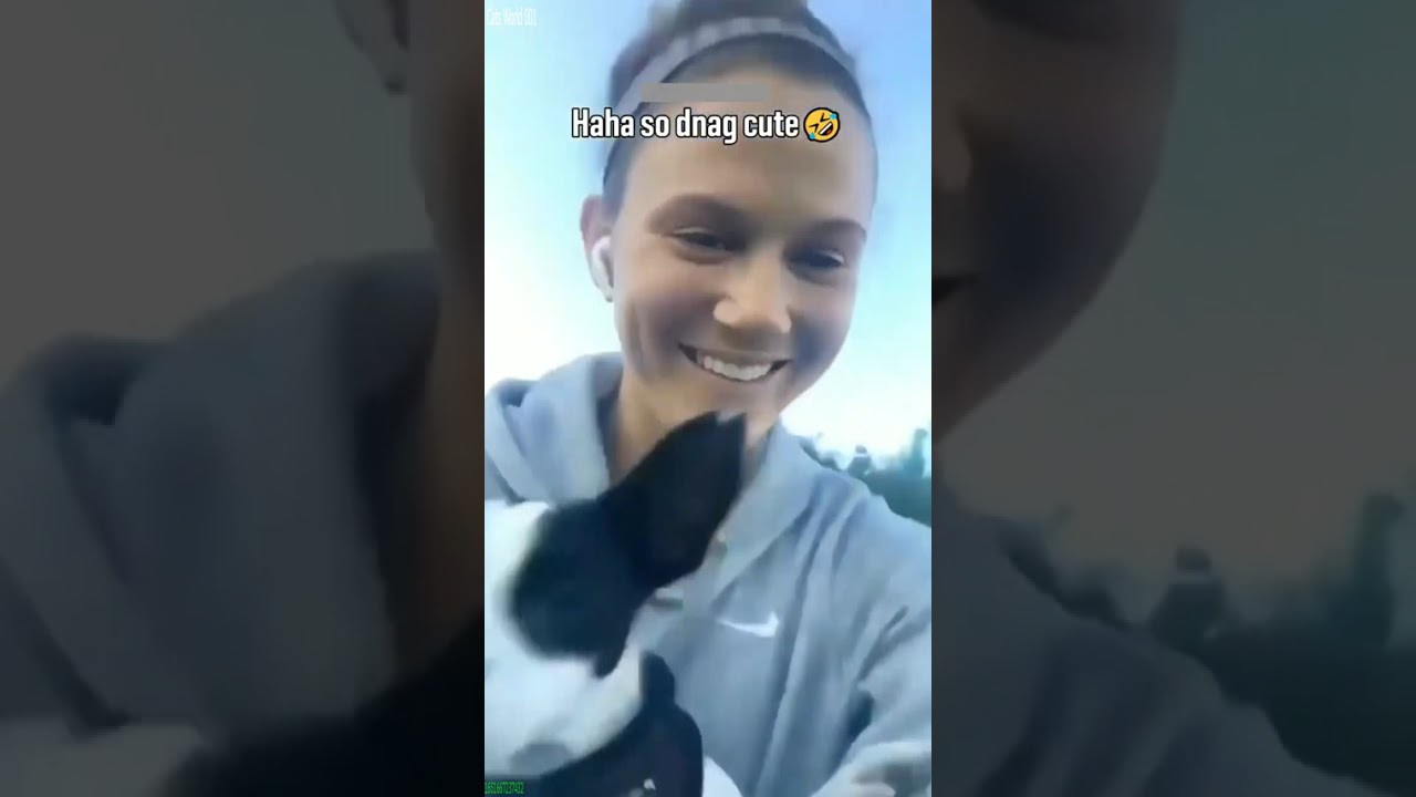 Funny Cats 2024 🥰 New Funny Cats 2024 🐈‍⬛ # #4326