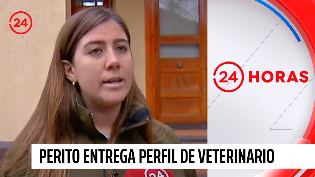 Perito entrega perfil de veterinario que protagonizó fatal balacera en Monticello | 24 Horas TVN