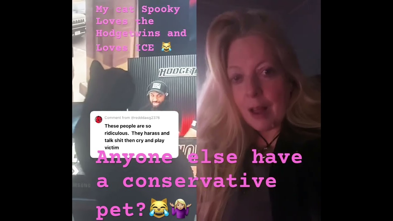 My cat 🐈‍⬛ Spooky likes to watch Hodgetwins