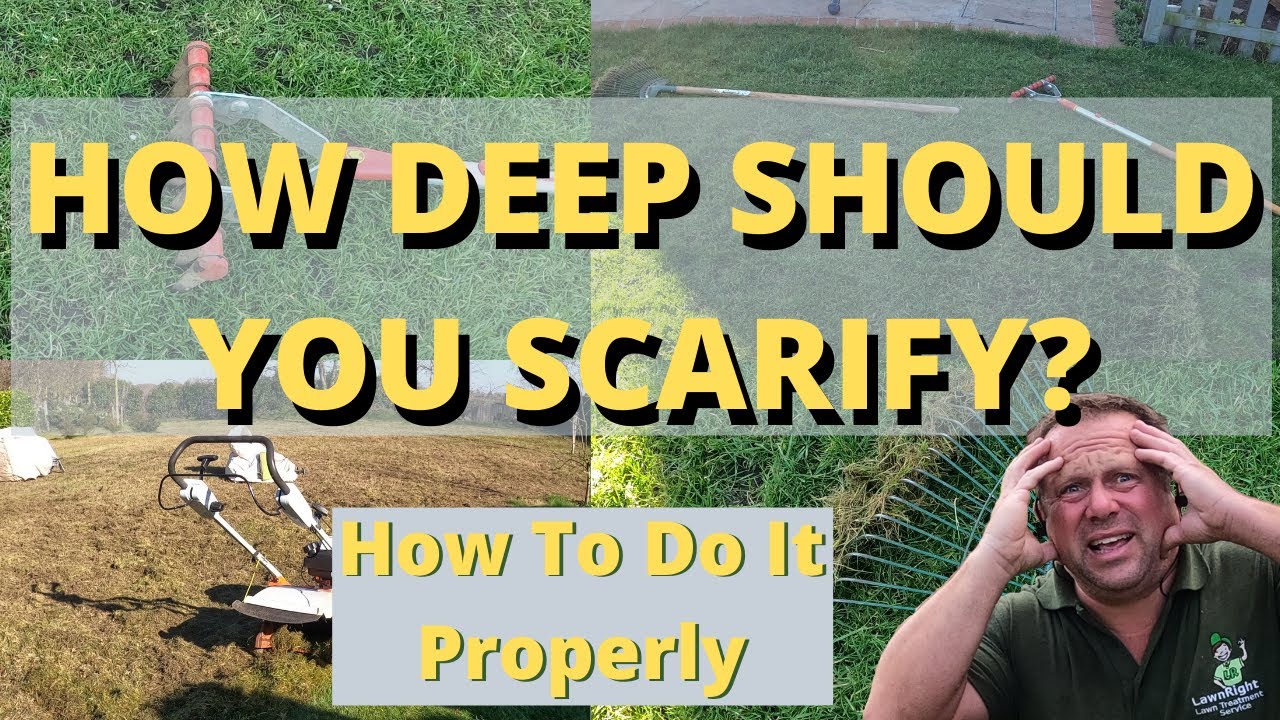 How Deep Should You Scarify? (How To Scarify Your Lawn Effectively)
