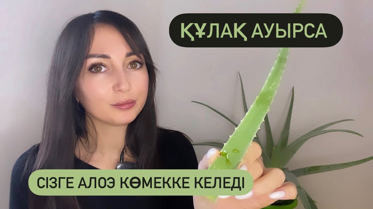 Алоэ Вера гүлінің пайдасы