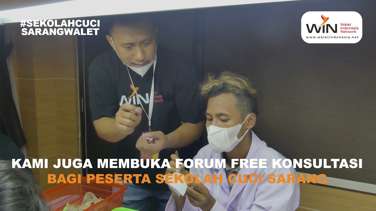 Belajar Cuci Sarang Walet Untuk Pemula | Kursus Cuci Sarang Walet Lengkap | Walet Indonesia Network
