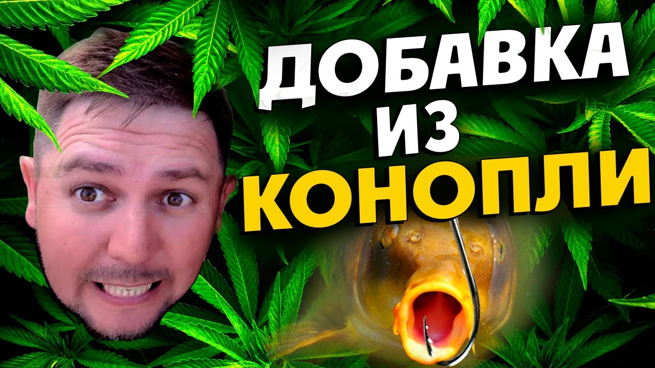 СЕКРЕТНАЯ ДОБАВКА.😎 ДАЙ РЫБЕ ПРОСРАТСЯ!😜