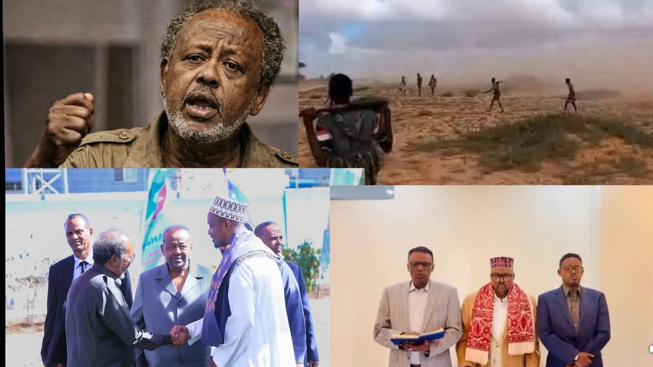 Beesha sacad-muuse oo Dhabar-jabin kusamaysay Halgankii Gadabuursi Kula jireen Ciisaha Soo duulay...