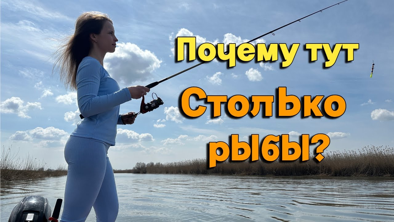 В АСТРАХАНЬ ВЕСНОЙ! ОТЛИЧНО ОТДОХНУЛИ! СТОЛЬКО РЫБЫ МЫ ЕЩЕ НЕ ВИДЕЛИ! (Часть 2)