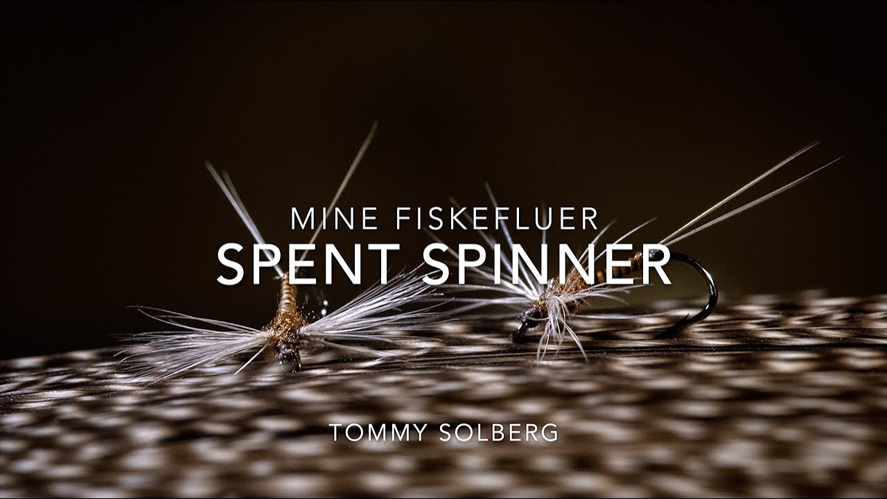 Fluefiske, fluebinding og mine fiskefluer. Spent Spinner