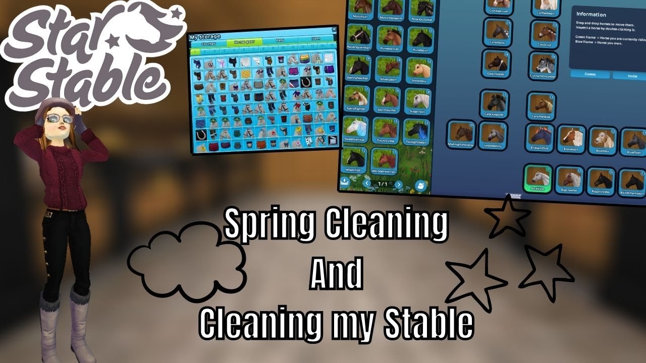 Spring Cleaning || Organizing my Closet 😱😊|| Star Stable Online || SSO