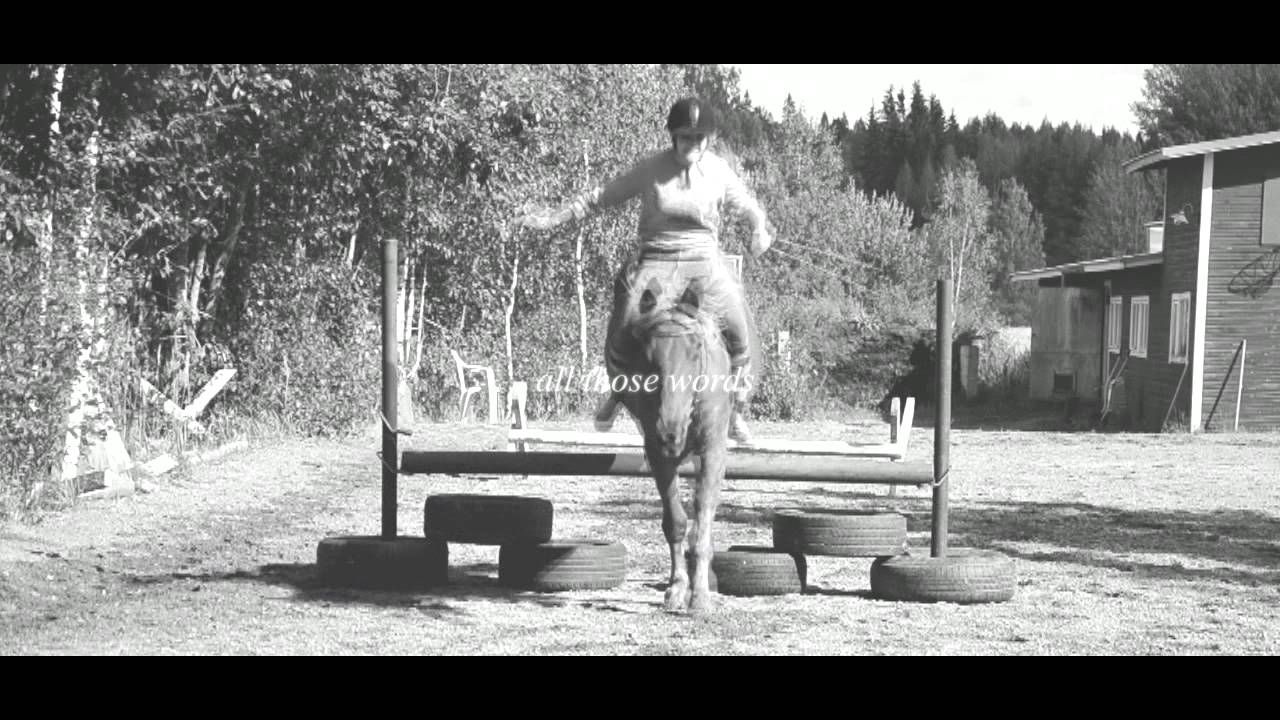 in memoriam - tosi-viksu 1988-2014