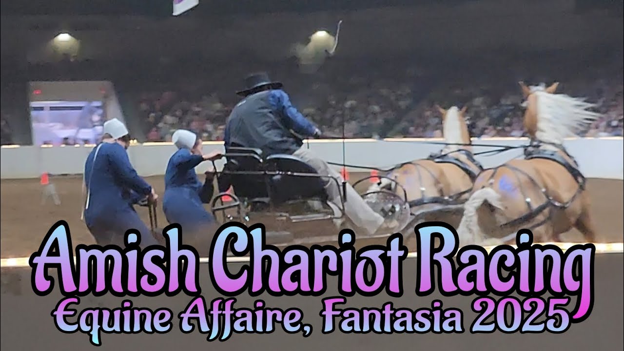 Amish Chariot Racing - Equine Affaire 2025