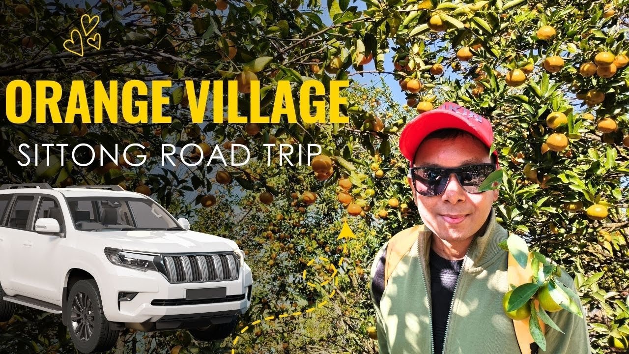 Sittong Orange Village Road Trip – A Magical Experience || Best Offbeat Destination Near Darjeeling