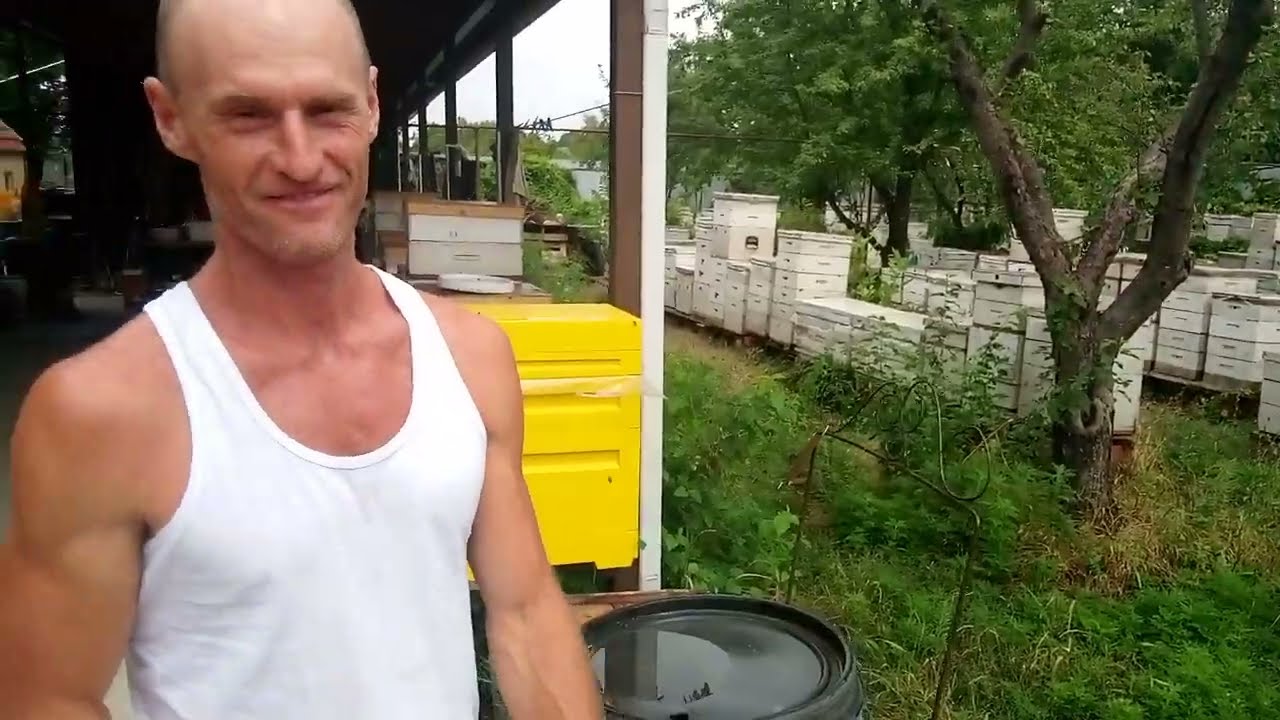 матковыводная пасека Коваленко