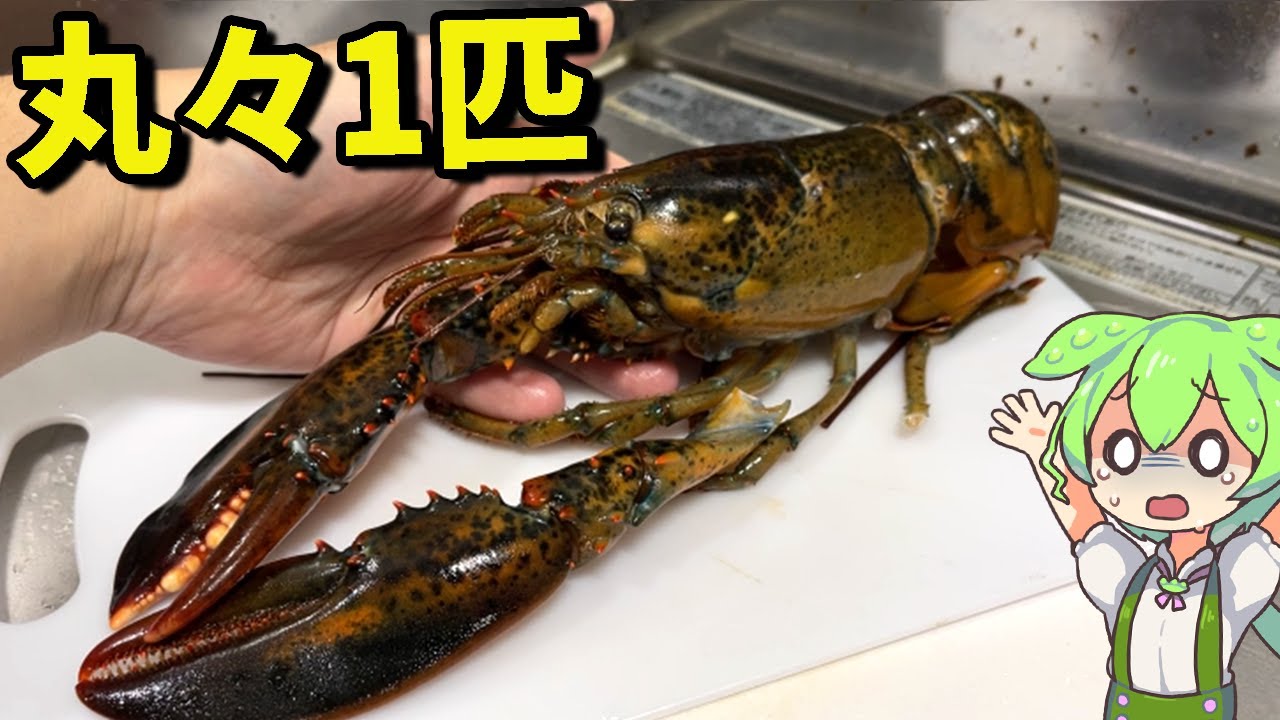 amazonで売ってた「巨大エビ」１匹丸ごと買って食べてみた結果・・・【ずんだもん＆ゆっくり解説】