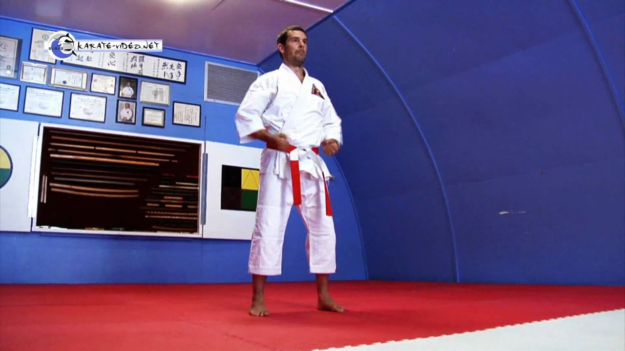KARATE VIDEO: Yellow Belt KARATE KATA Goshin-Do Ichi | Sogo Goshin-do