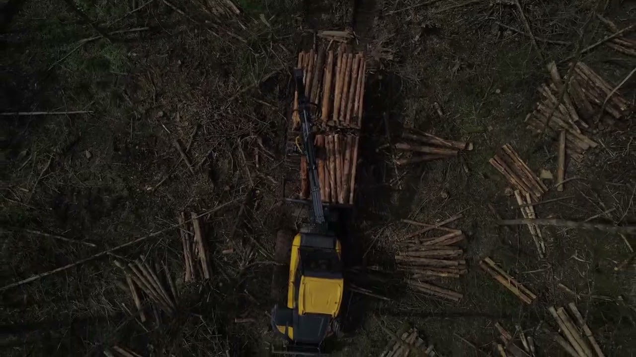 Cin&eacute;matique : Engins forestiers