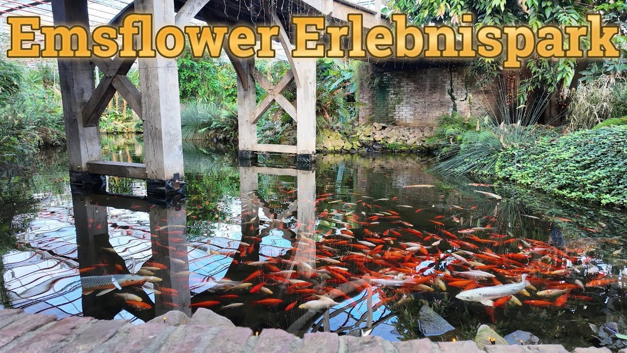 Erlebnispark Emsflower Emsbüren Anfang November 2024