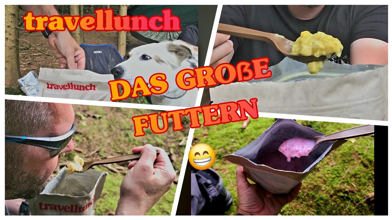 Tagespaket für kalte Regionen von travellunch - Überraschungstest im Sommerwald 🌲☀️