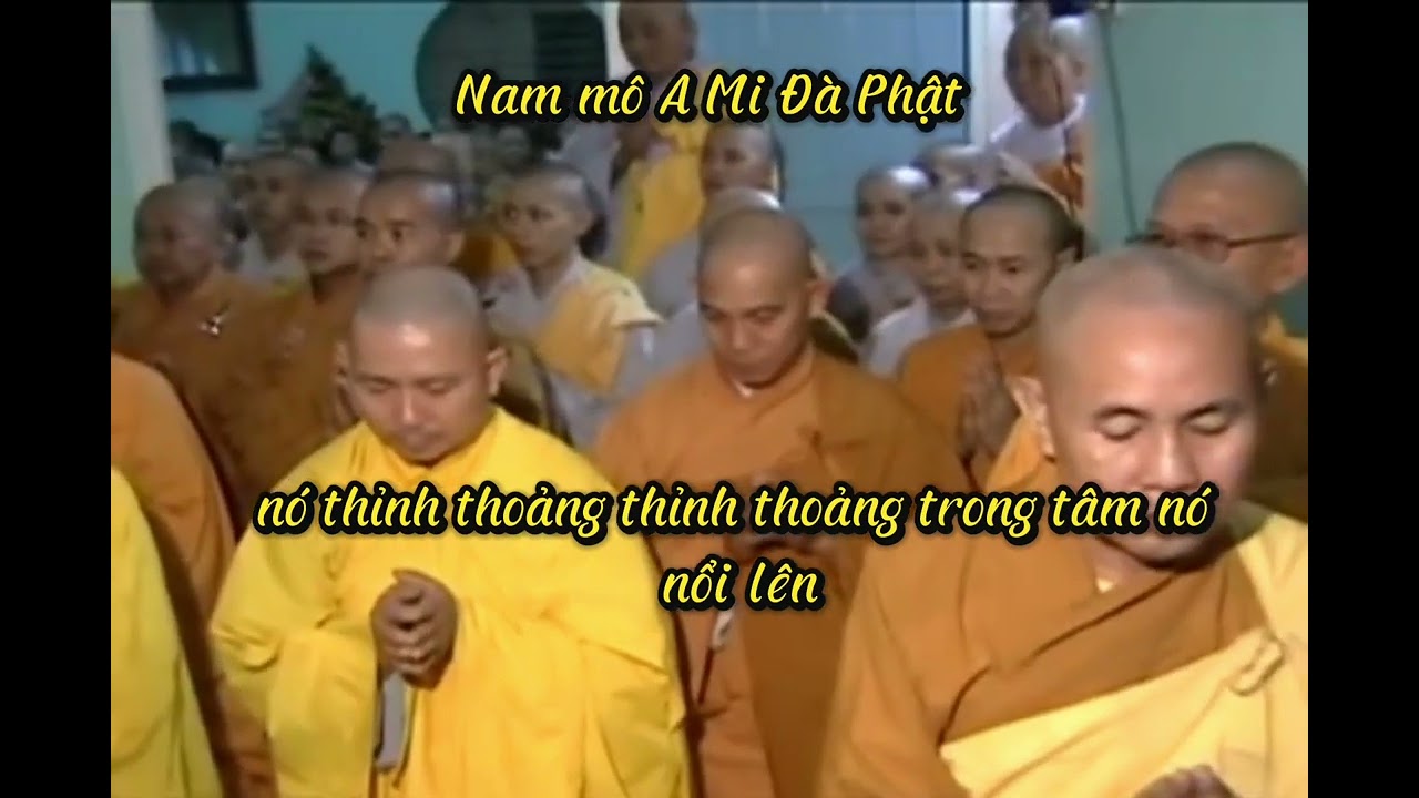 Thế Nào Là Người Có Tu và Người Không Tu - Đại Lão HT Thích Trí Tịnh.