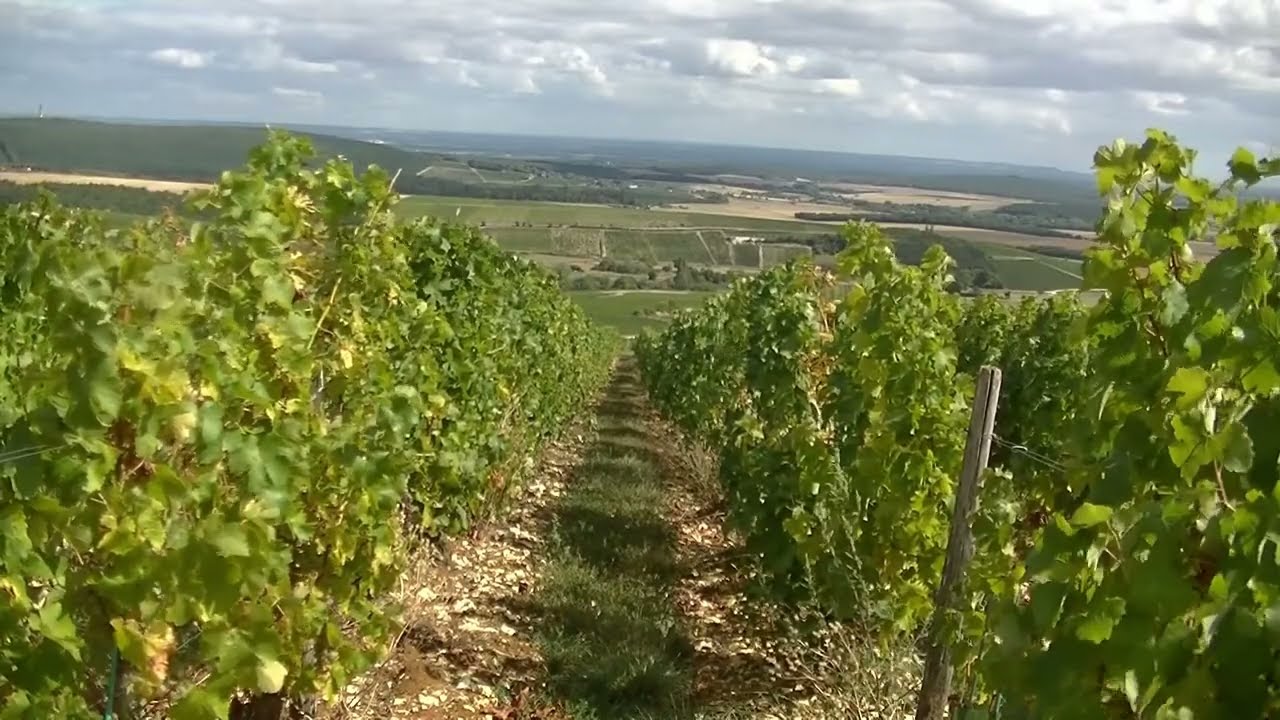 Balade dans le Sancerrois
