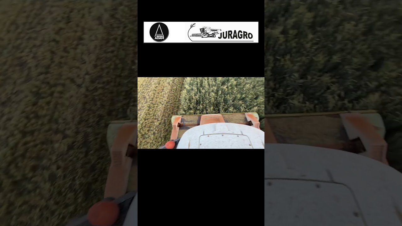 ŻYTO NA KISZONKĘ 🌾 | CLAAS JAGUAR 940 + DIRECT DISC 610 | AGRO-ADAM & JURAGRO W AKCJI 👨‍🌾