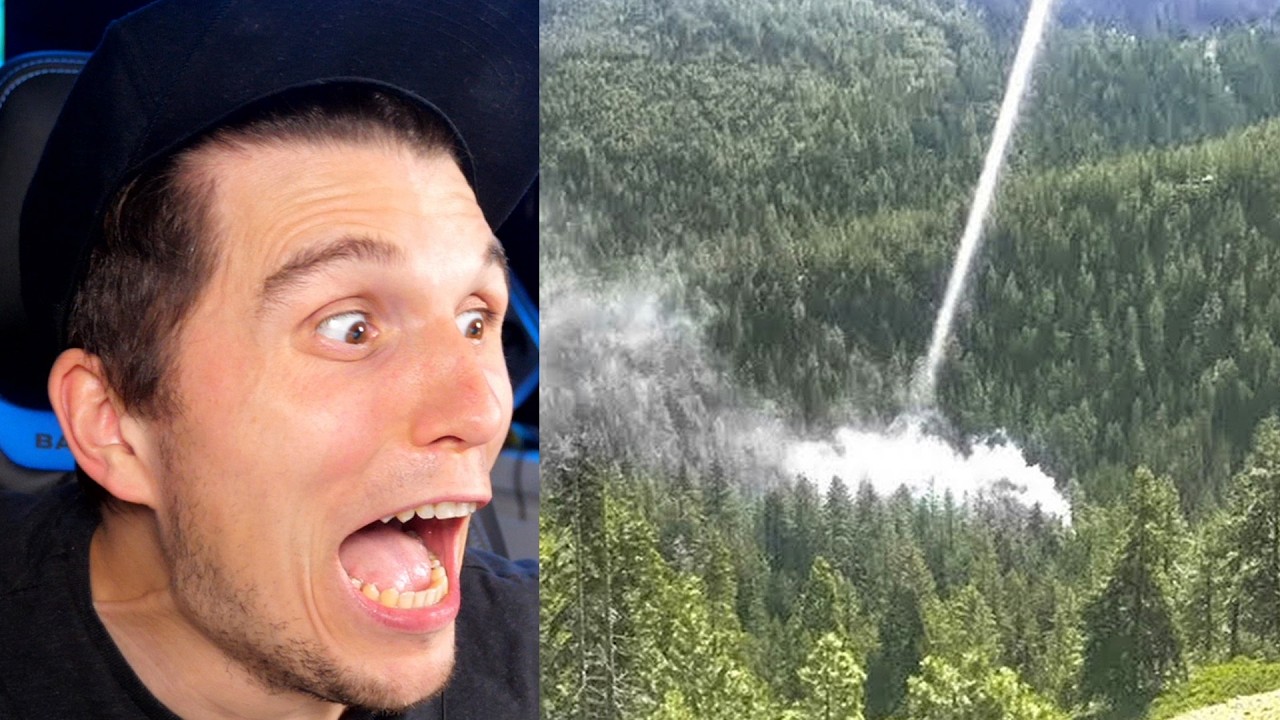 Paluten REAGIERT auf 1 in einer Billion Momente in der Natur