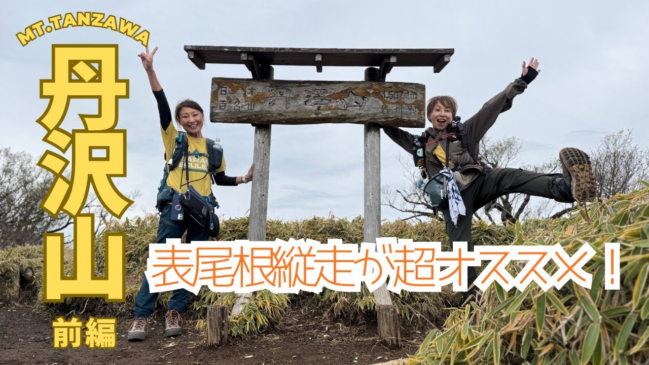 【丹沢山】丹沢屈指の絶景稜線・表尾根を菩提峠から歩いたら最高だった‼️