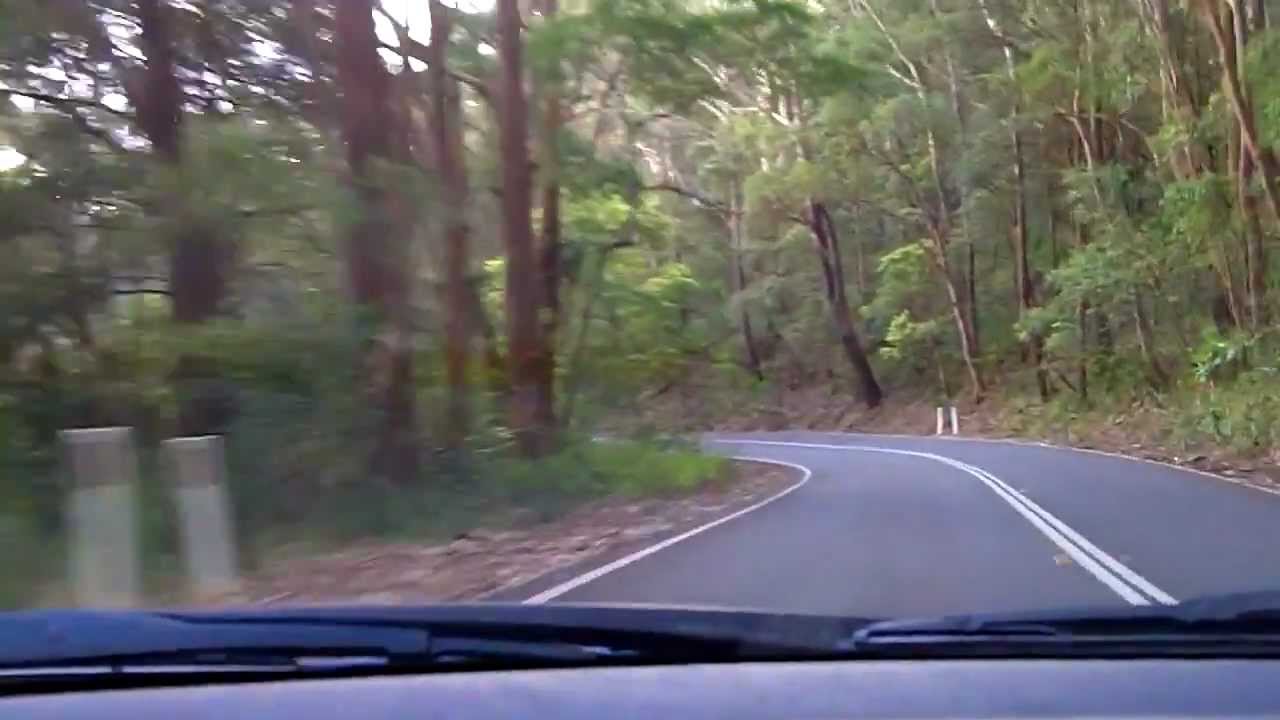 Sydney's Best Driving Roads - Royal National Park Pt.2