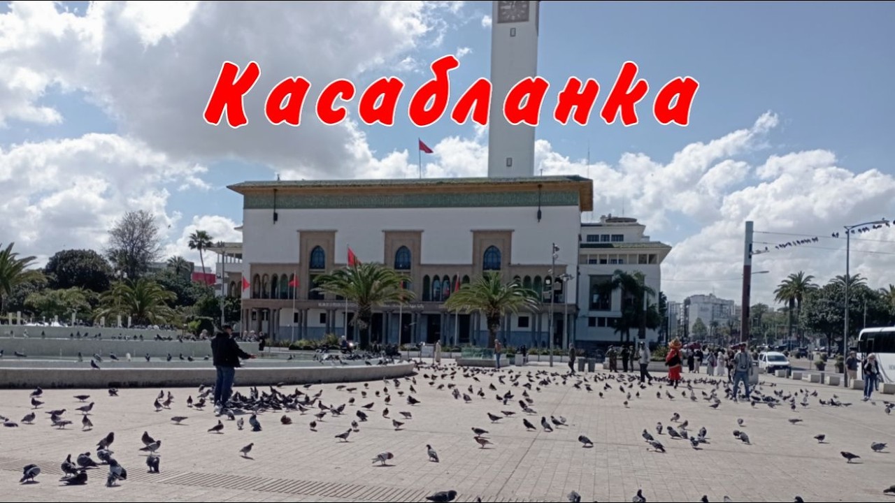 Выпуск 11 Касабланка
