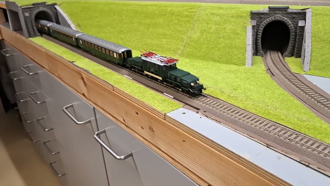 Roco 1189.05 mit BRAWA Schürzenwagen 