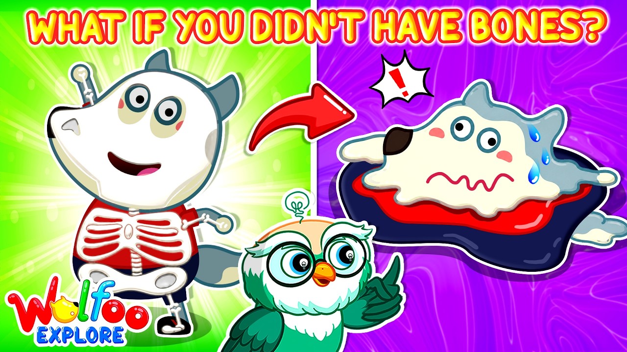 NEW| Wolfoo Explore 🔍 What If You Didn't Have Bones? | Wolfoo Channel | Kids Cartoon