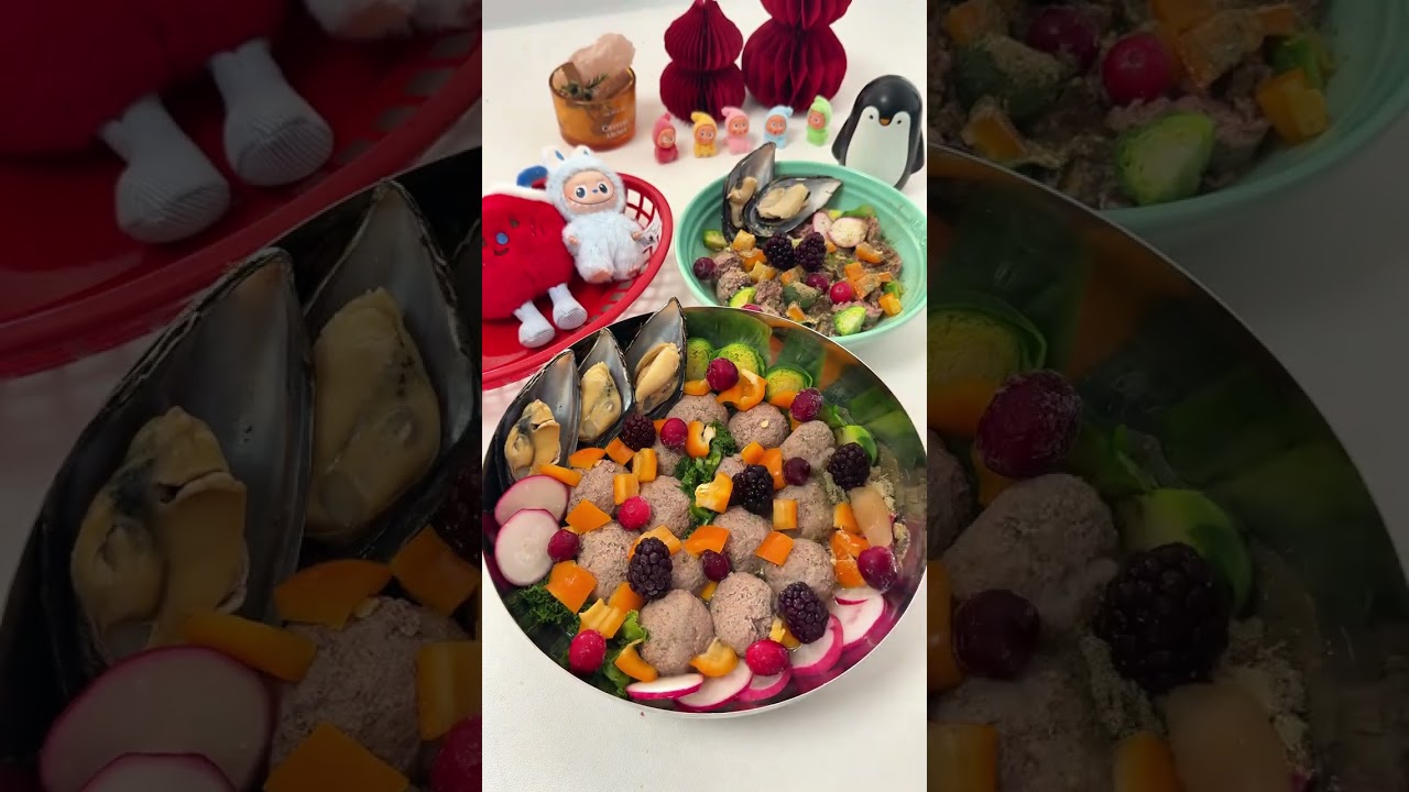 vlog.168 ble Dog family immersive meal preparation#Immersive pet meal planning#Homemade do