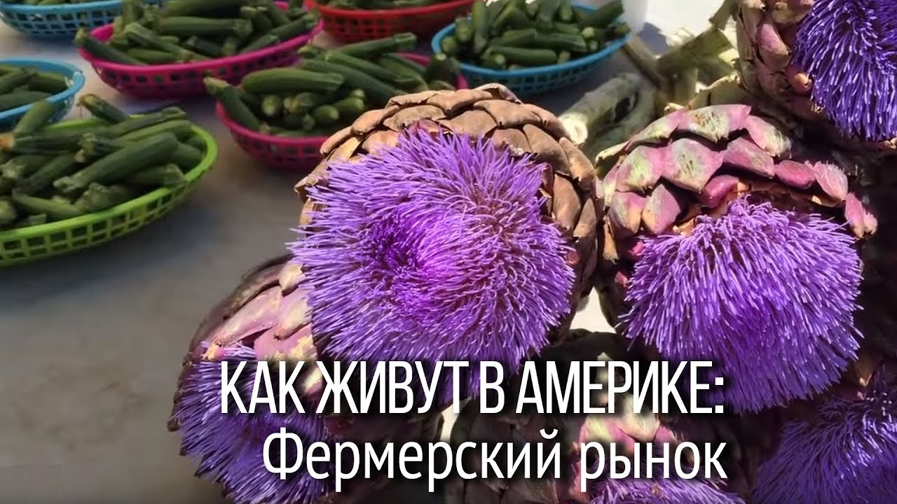 Как живут в Америке? Лос-Анджелес: фермерский рынок. В Америке не принято торговаться.
