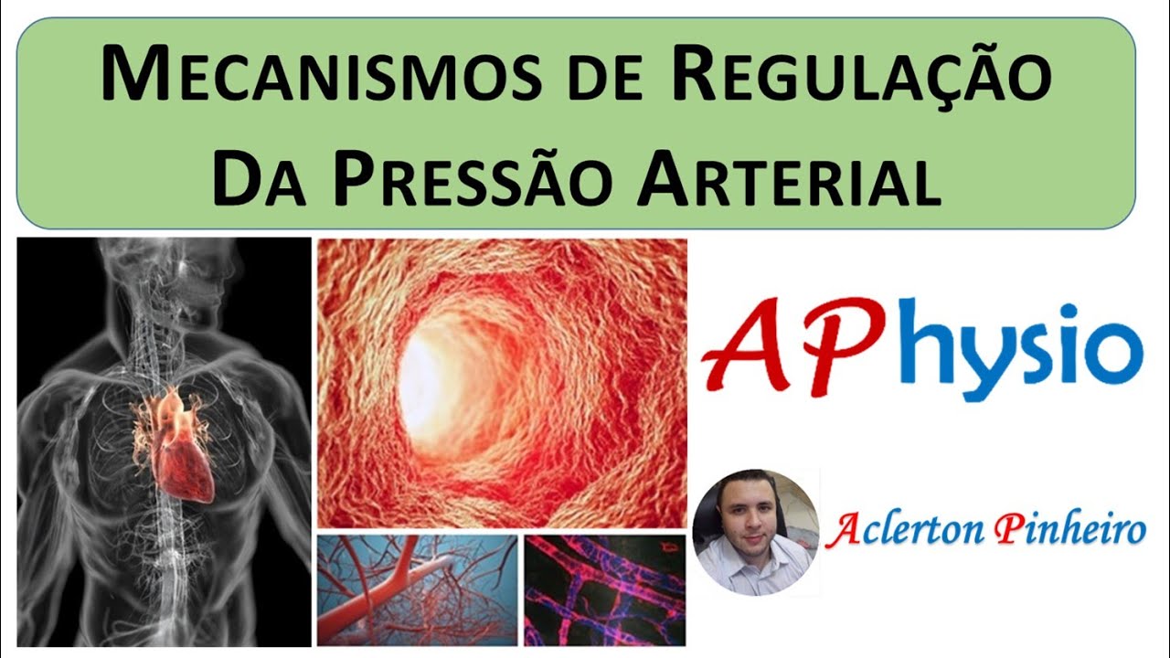 Mecanismos de Regulação da Pressão Arterial (PA)