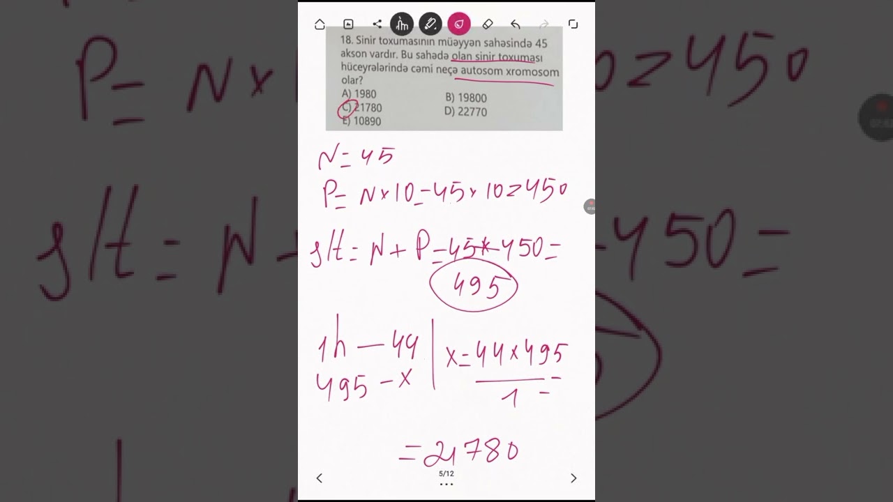 TAİM (insan biologiyasi)sinir sistemi  və vəzilər