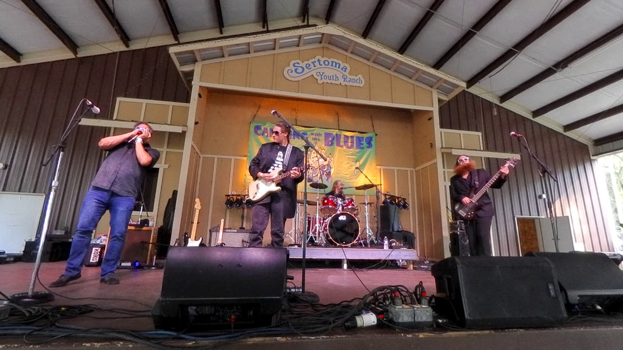 Joey Tenuto Band - GOT MY MOJO WORKIN' - aLIVE in HD - 2020 Camping with the Blues Festival