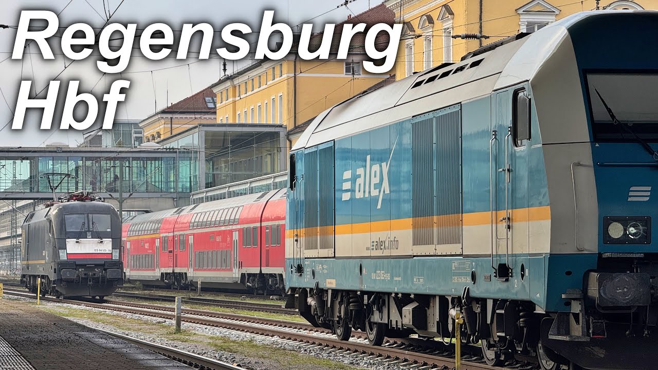 Züge in Regensburg Hbf | Herbst 2024 | agilis Mireo, alex, Br. 218 und mehr