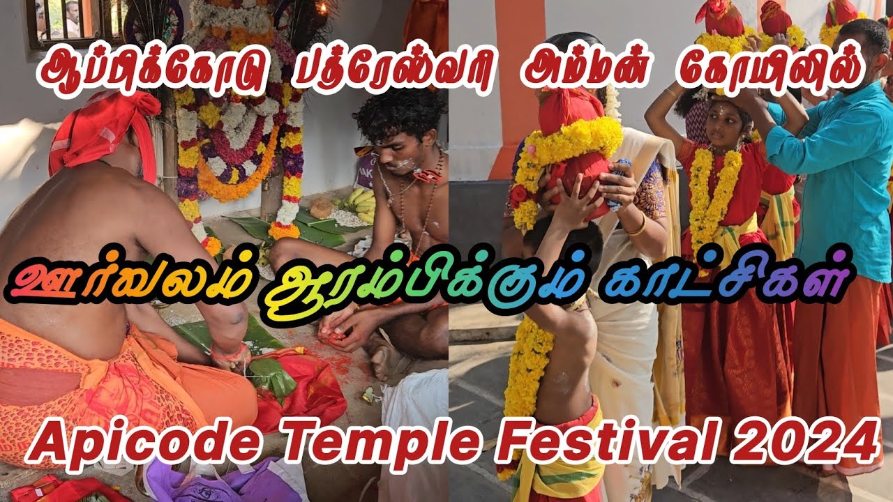 Appicode Temple Orvalam 2024 Part 3 | Sree Bhadreswari Amman Temple Appicode orvalam 2024 | Appicode