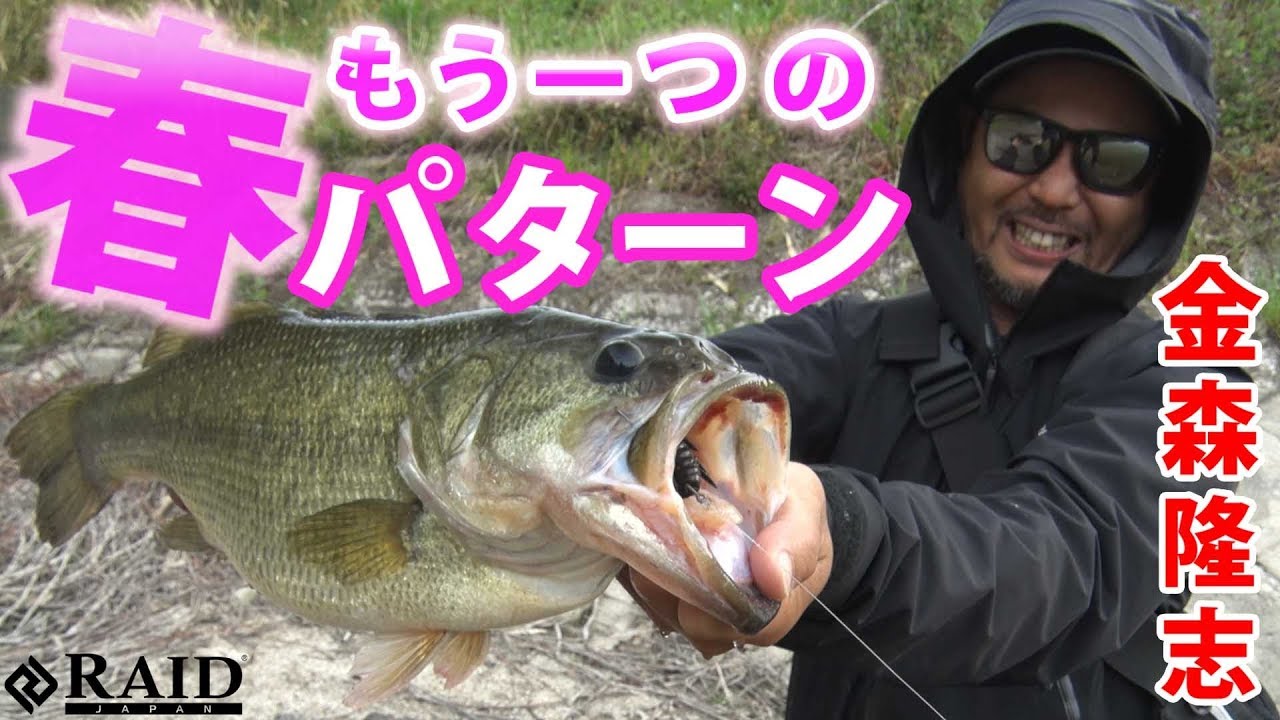 もう一つの春パターン!![金森隆志]