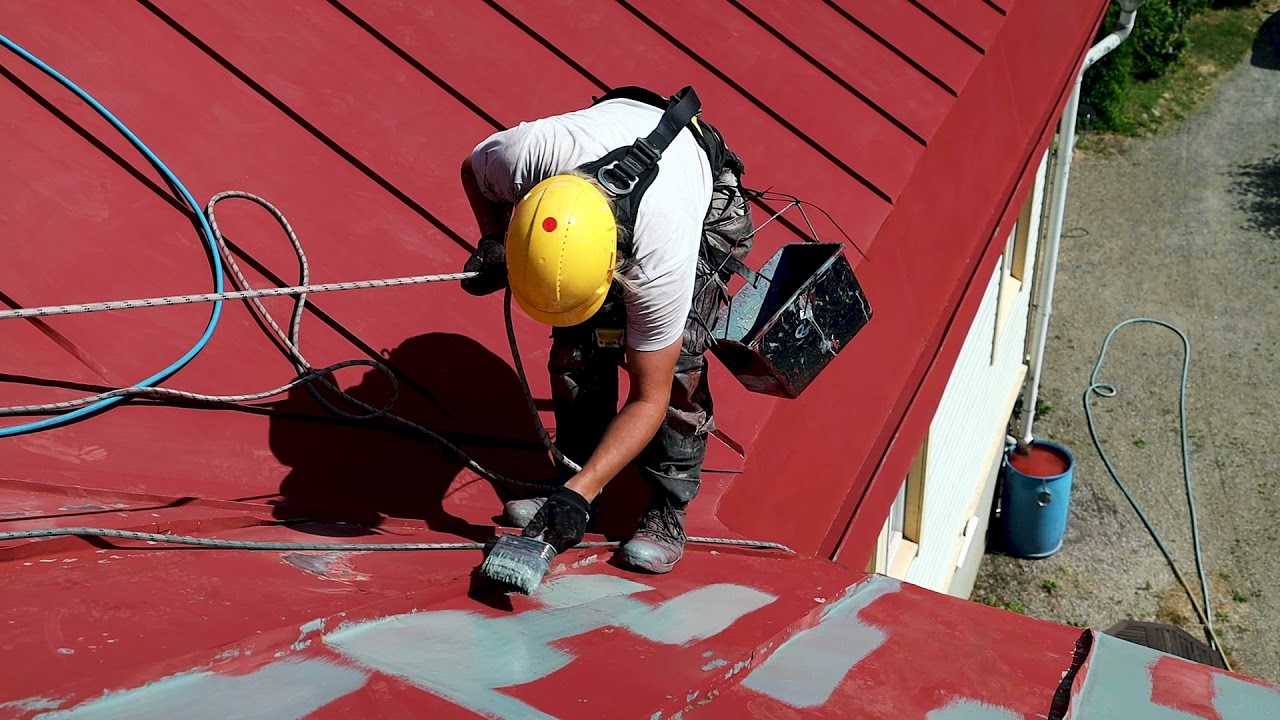 Peltikaton maalaus