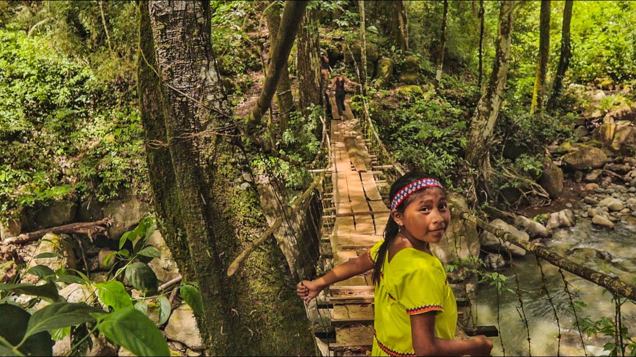 A Indigenous tribe in the hearth of the jungle in Panama