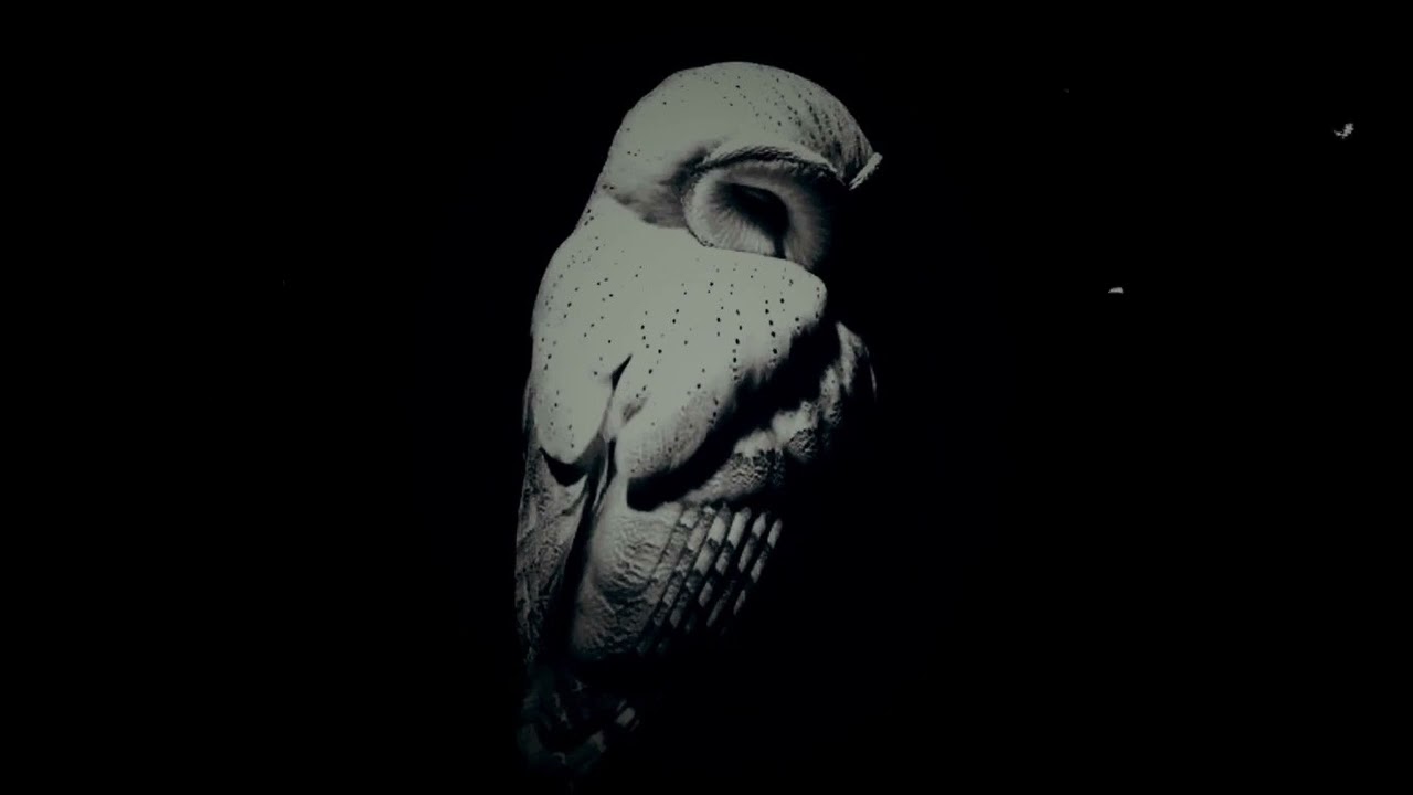[FREE FOR PROFIT] Dark Trap Type Beat "UNAWARE"