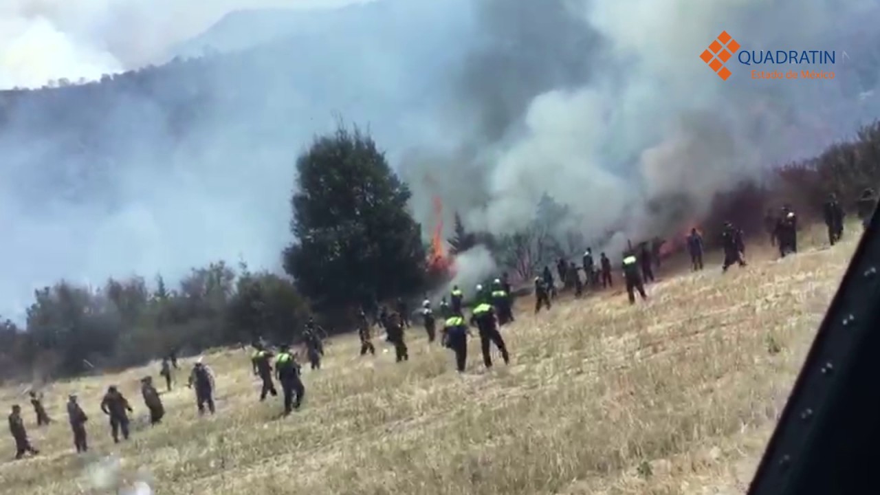 Desde tierra y aire combaten incendios forestales en Edomex