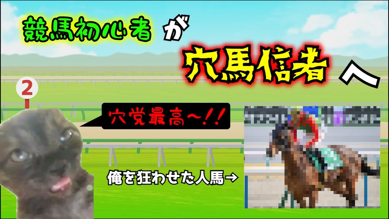 【実話】 競馬初心者が穴党になった怒涛の一カ月 【猫ミーム】