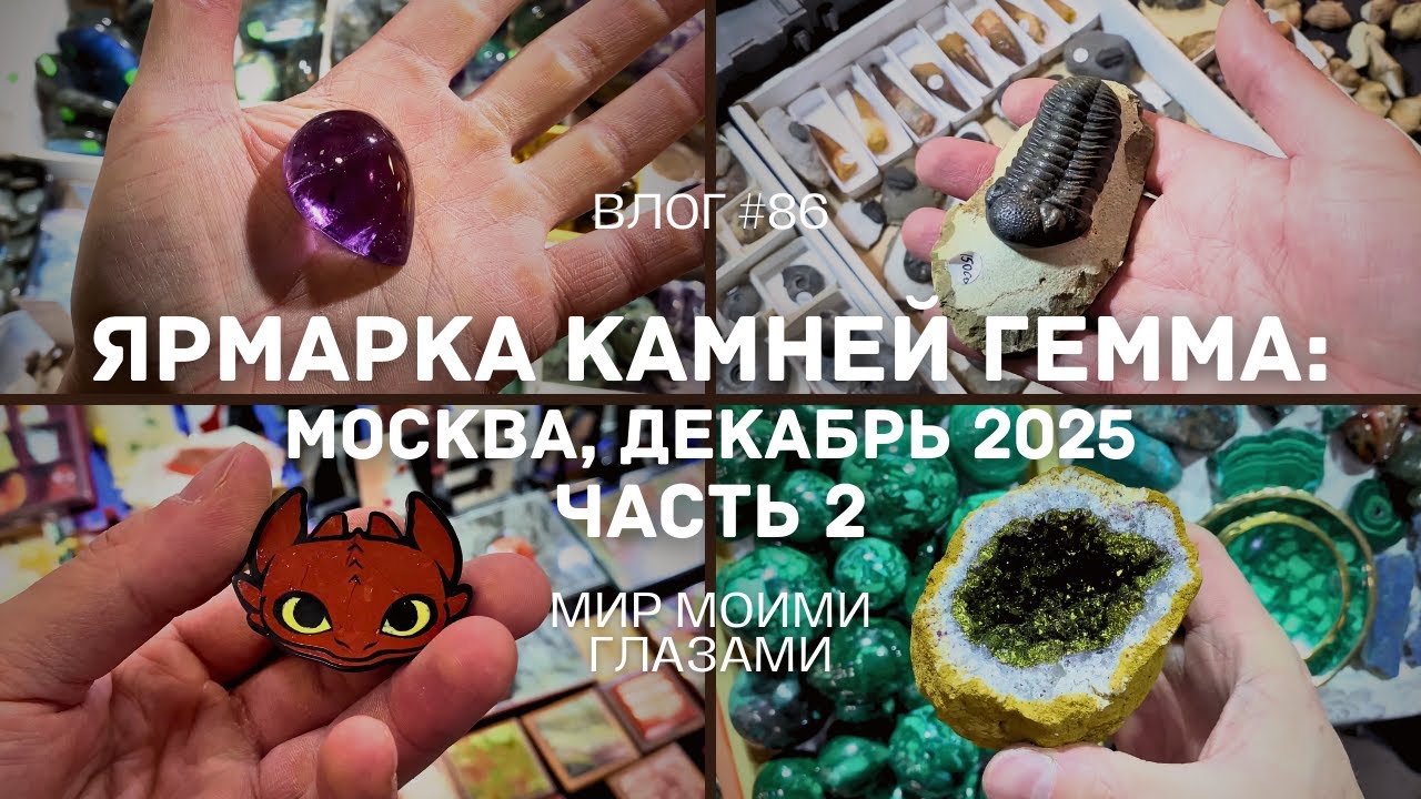 Выставка-ярмарка Гемма - Москва, декабрь 2025. Часть 2.