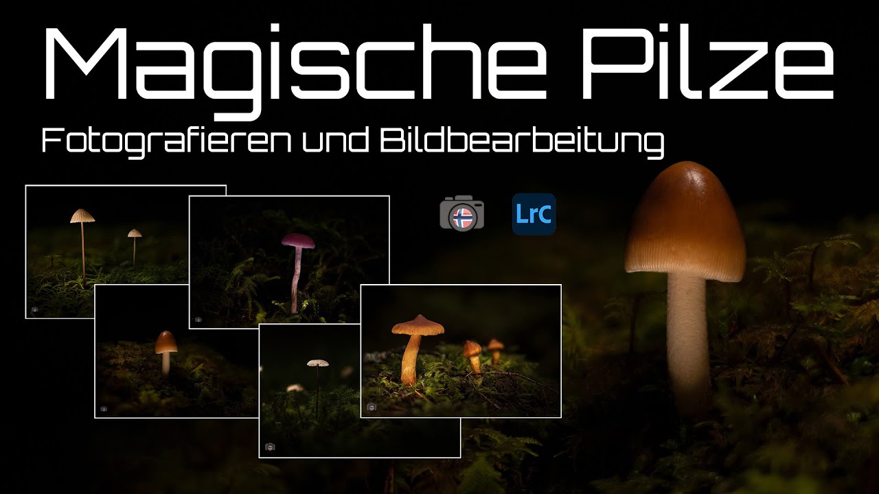 Magische Pilze - Fotografieren und Bildbearbeitung