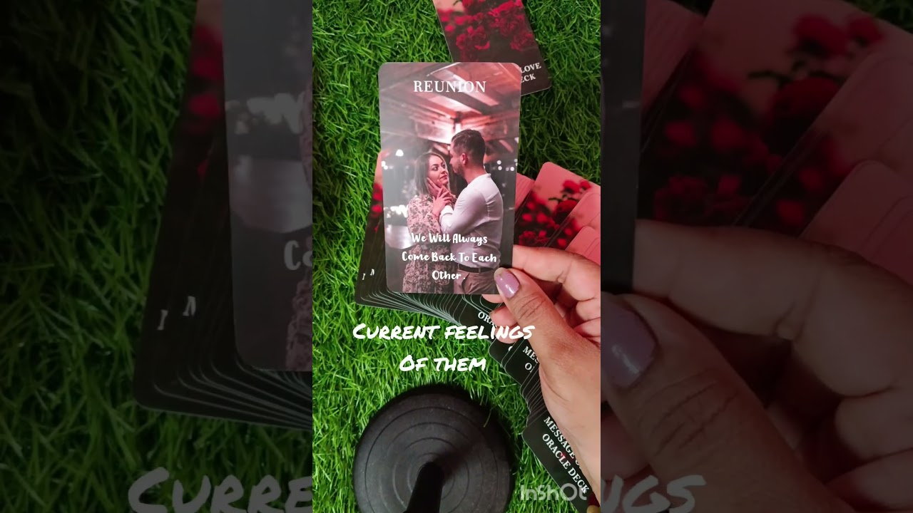 അവരുടെ current feelings അറിയാം #malayalam #tarot #tarotreading #whowillbemylifepartner
