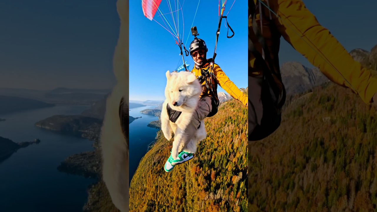 Nouvelle #GoProHERO valid&eacute;e ! ✅ #parapente #annecy #extremesports