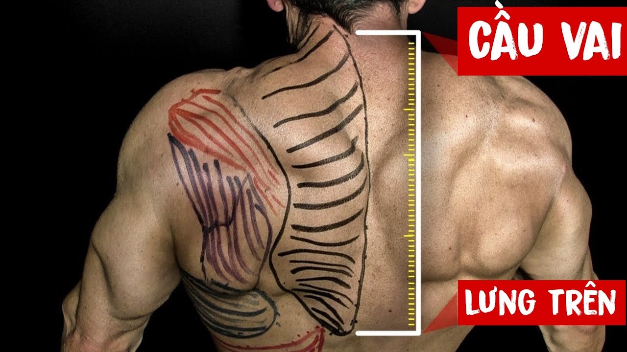 Seri Thứ 3 Kĩ thuật | Cách tập cơ cầu vai (Traps) hiệu quả | Hướng dẫn tập CẦU VAI đẹp | SmallGym