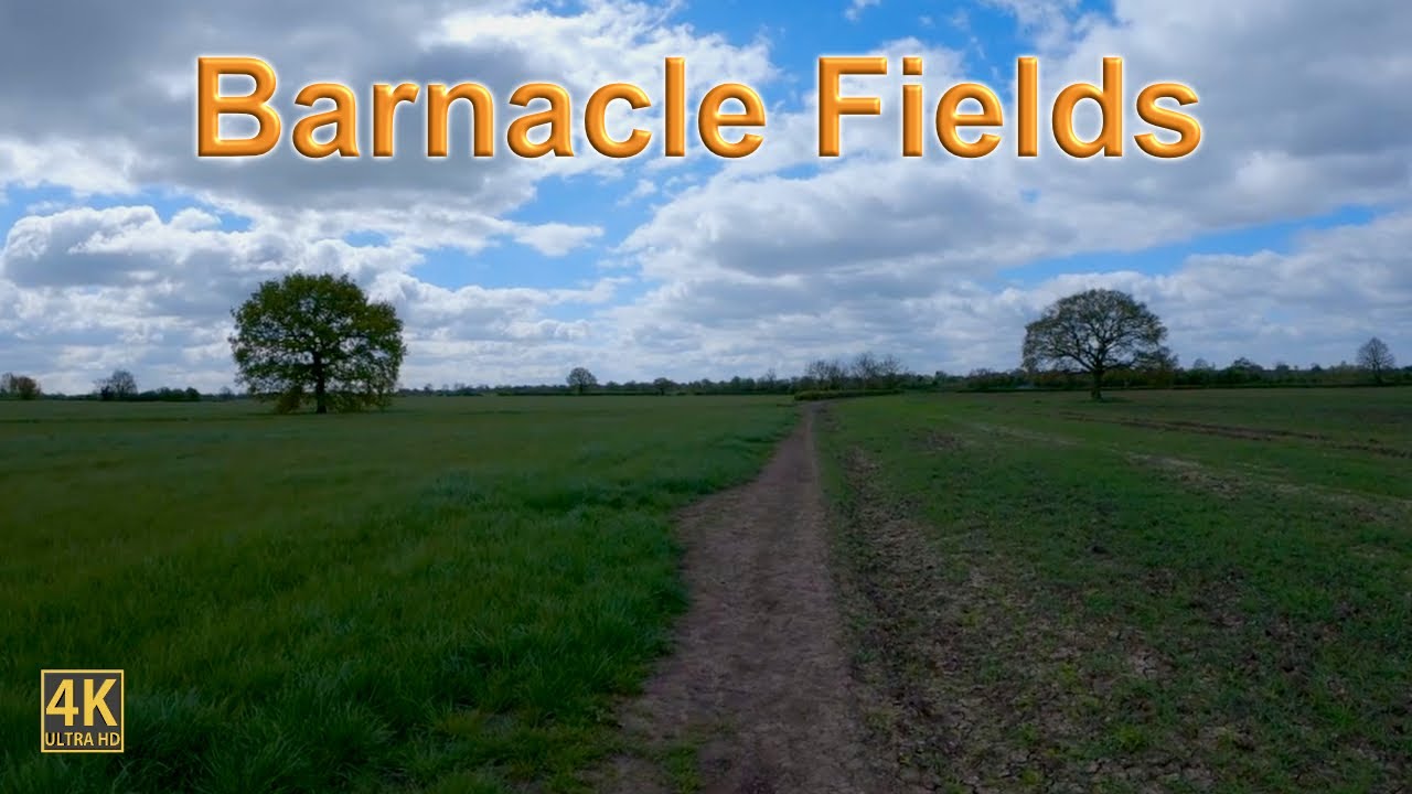 Barnacle Fields Bulkington Warwickshire