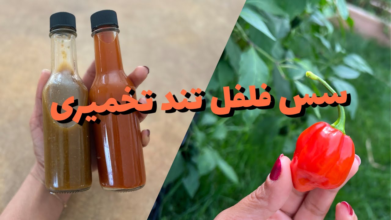 سس فلفل تند تخمیری/ fermented hot sauce